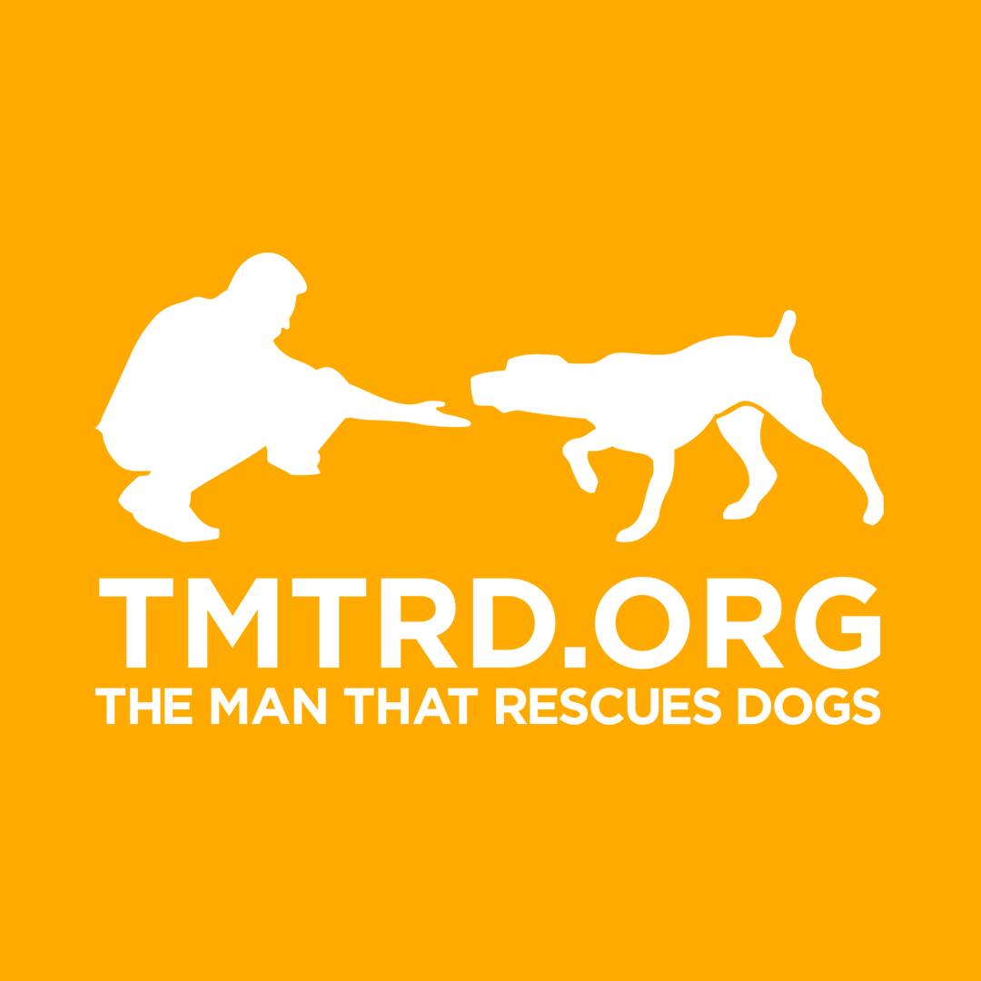 The community donated 2 ETH (~$5000) to the TMRTD foundation, The Man That Rescues Dogs